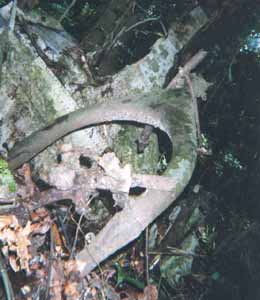 Click For Enlargement