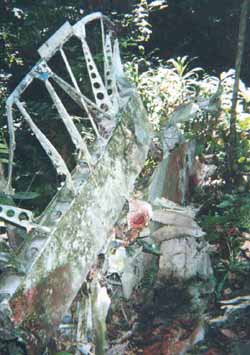 Click For Enlargement