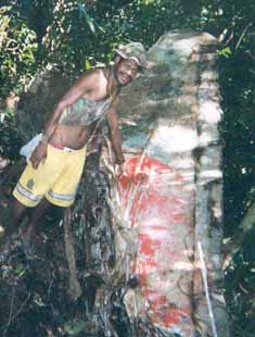 Click For Enlargement