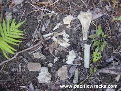 Click For Enlargement