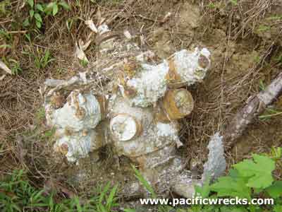 Click For Enlargement