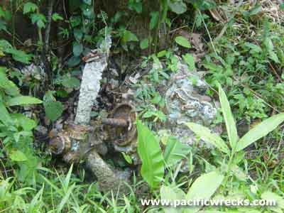 Click For Enlargement