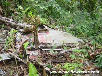 Click For Enlargement