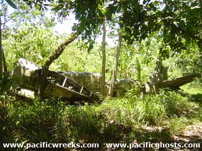 Click For Enlargement