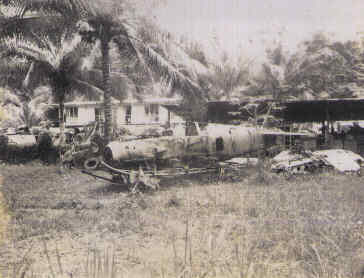 Click For Enlargement