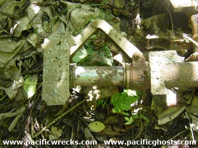 Click For Enlargement