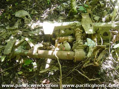 Click For Enlargement