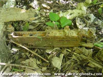 Click For Enlargement