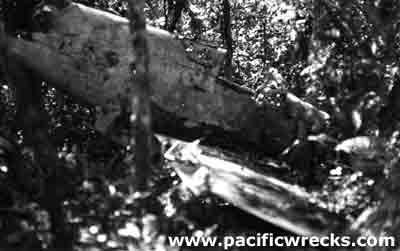 Click For Enlargement