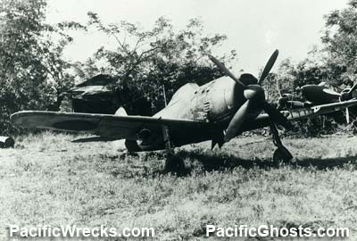 Click For Enlargement