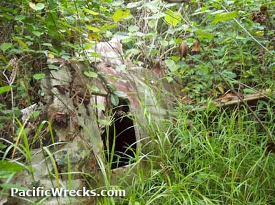 Click For Enlargement