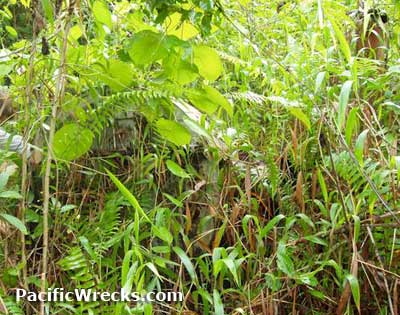 Click For Enlargement