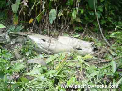 Click For Enlargement