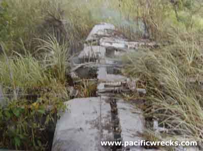 Click For Enlargement