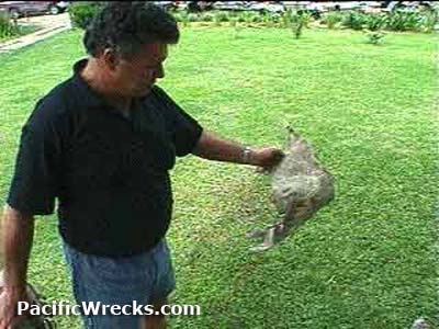 Click For Enlargement