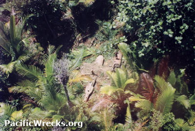 Click For Enlargement