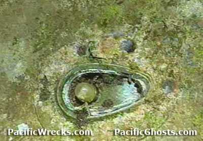PacificWrecks.com