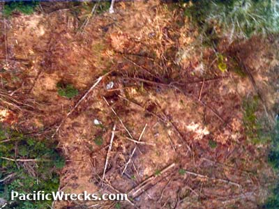 Click For Enlargement