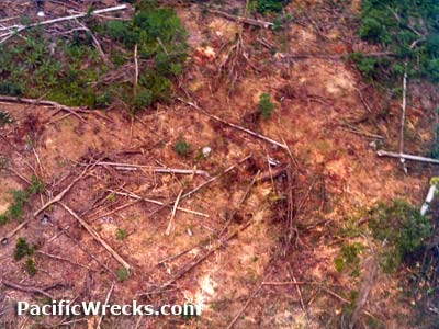 Click For Enlargement