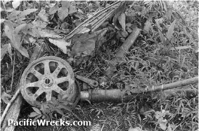 Click For Enlargement