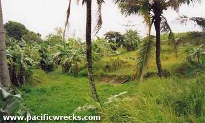 Click For Enlargement