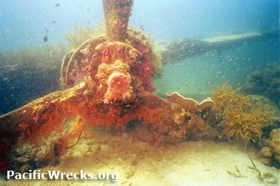 PacificWrecks.com