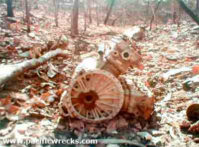 Click For Enlargement