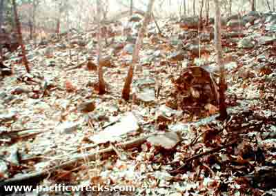 Click For Enlargement