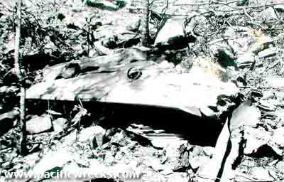 Click For Enlargement