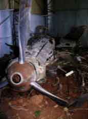 Click For Enlargement