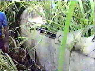 Click For Enlargement