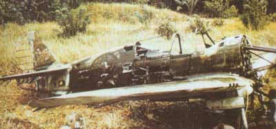 Click For Enlargement