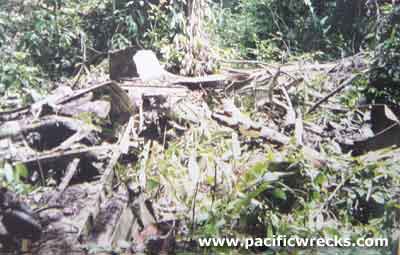 Click For Enlargement