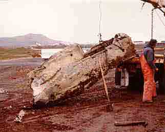 Click For Enlargement