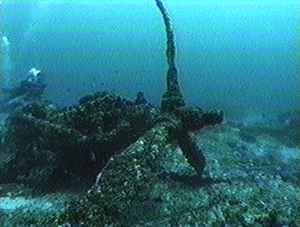 Click For Enlargement