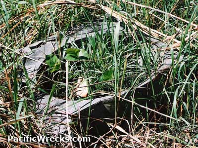 Click For Enlargement