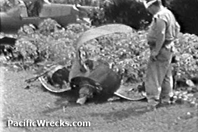 Click For Enlargement