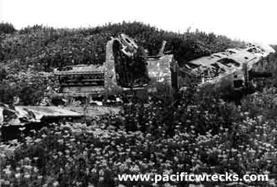 Click For Enlargement