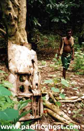 Click For Enlargement