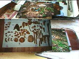 Click For Enlargement