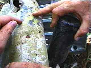 Click For Enlargement