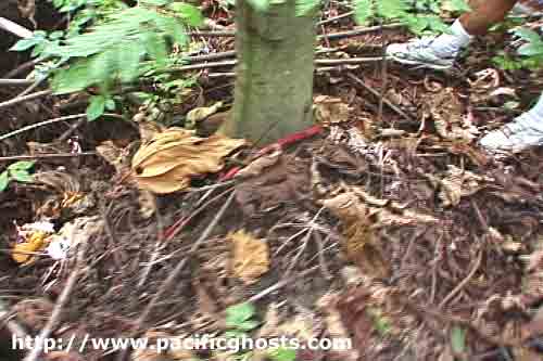 Click For Enlargement