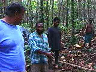 Click For Enlargement