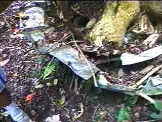 Click For Enlargement