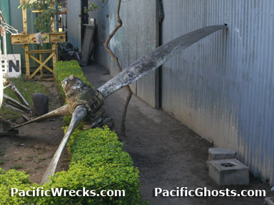 Click For Enlargement