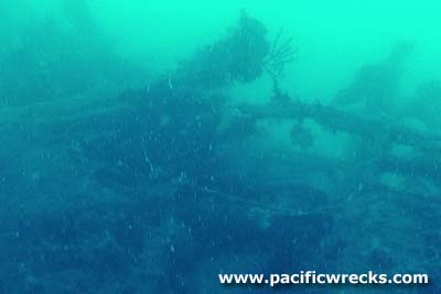 Click For Enlargement