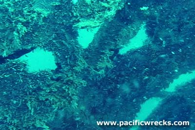 Click For Enlargement