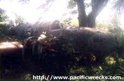 Click For Enlargement