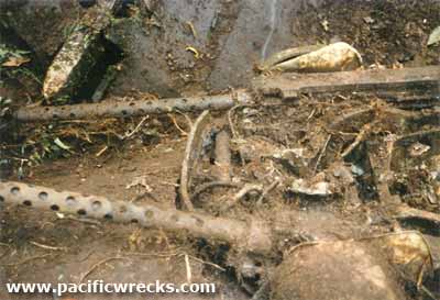 Click For Enlargement