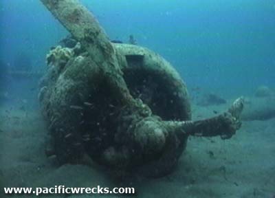 Click For Enlargement